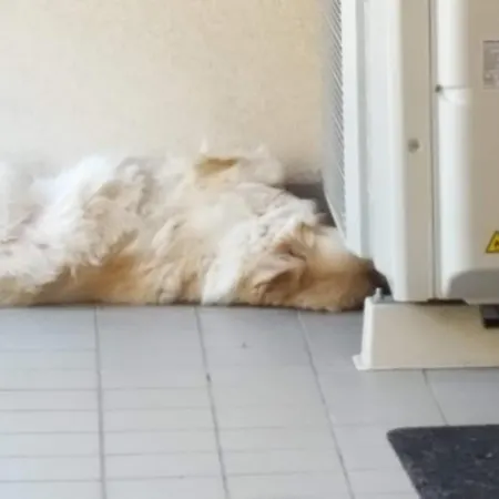 Pensionat Expo Milano